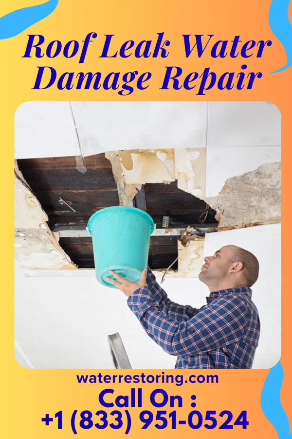 Roof Leak Water Damage Repair in Paris, TX